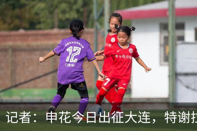 记者：申花今日出征大连，特谢拉、米内罗、李可因伤无法出战